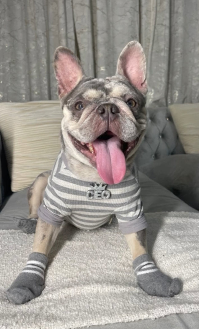 Tees and Shirts (Boy)