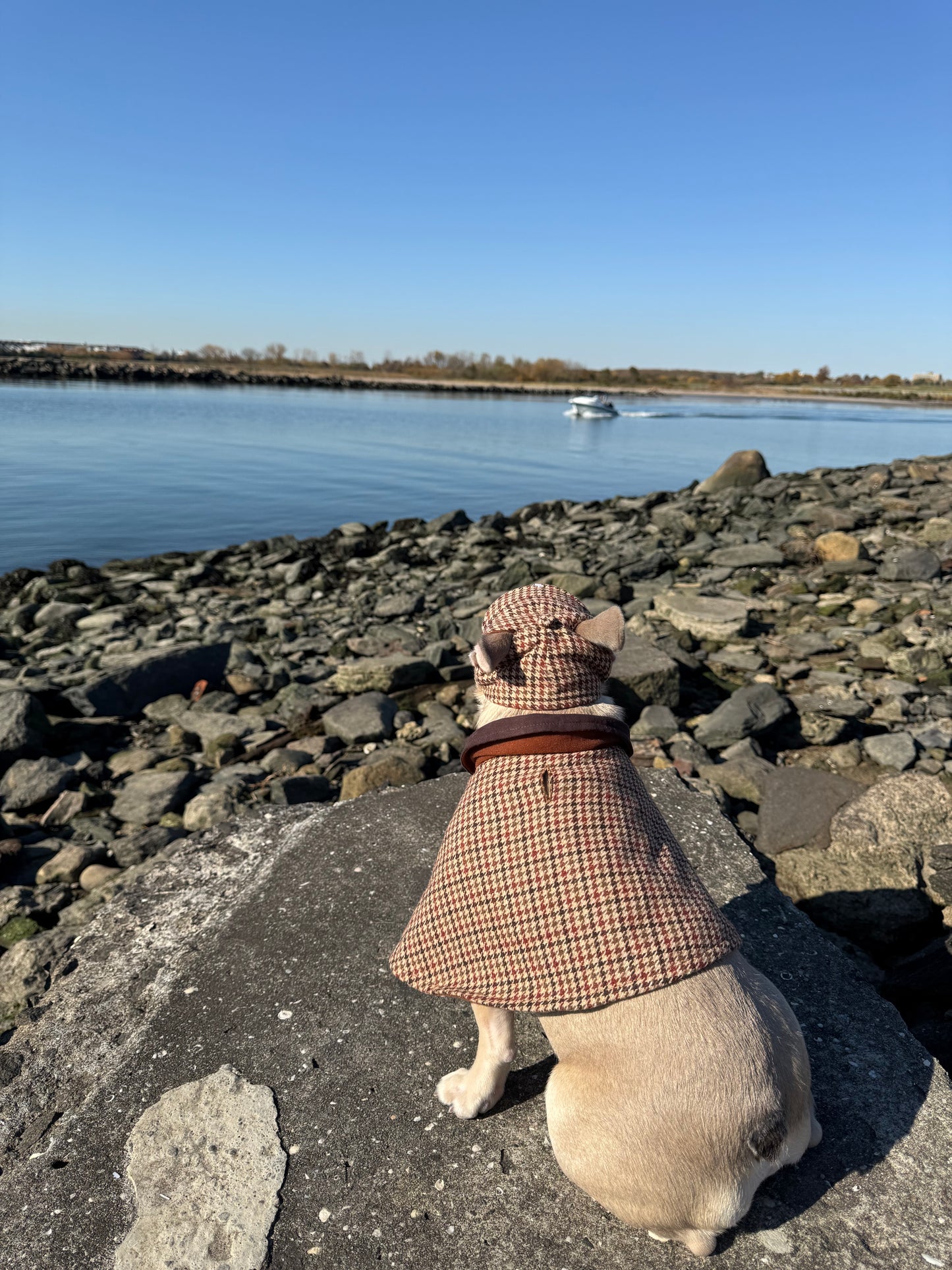 Reversible Classic Capelet