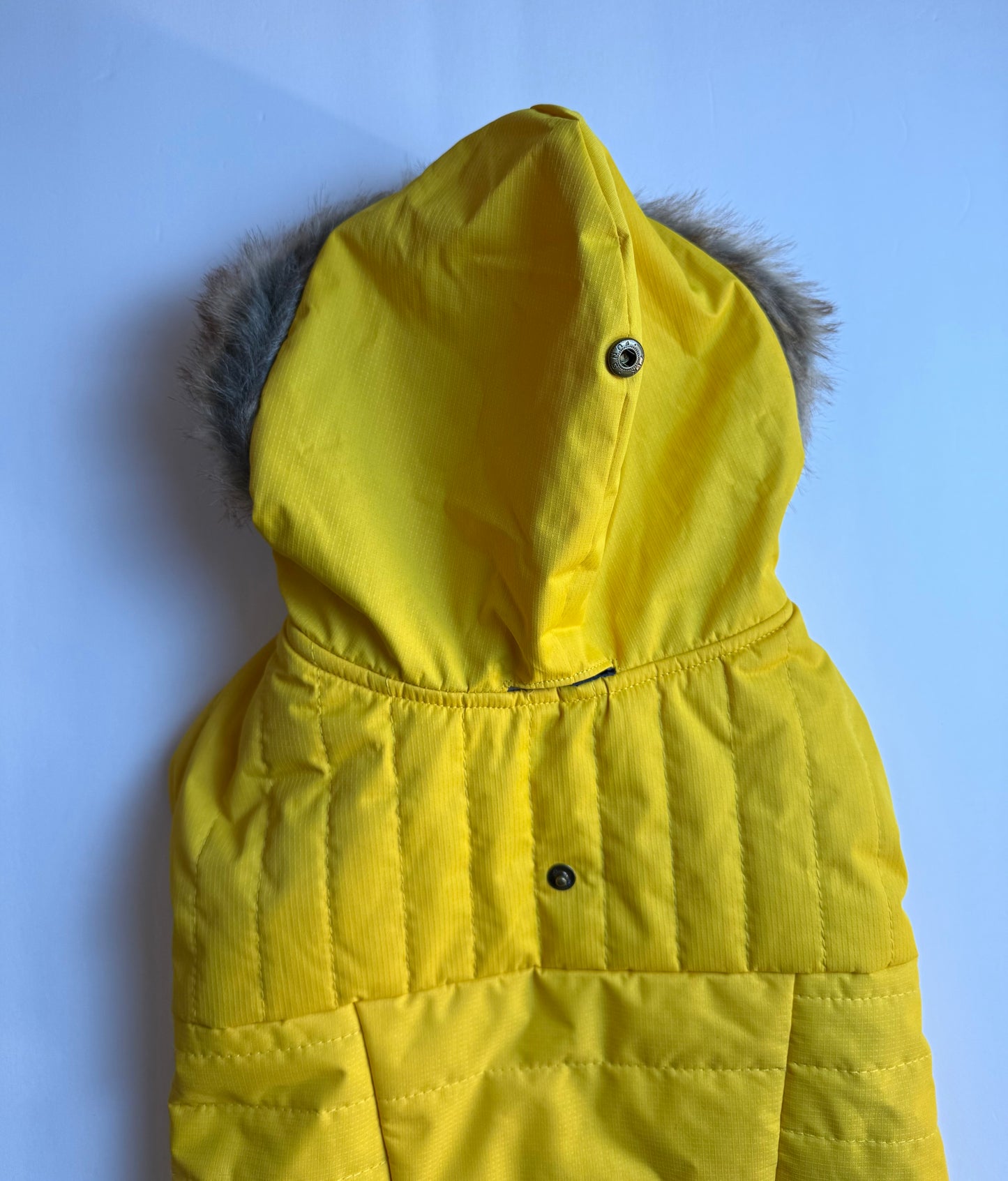 Sj Coat Yellow